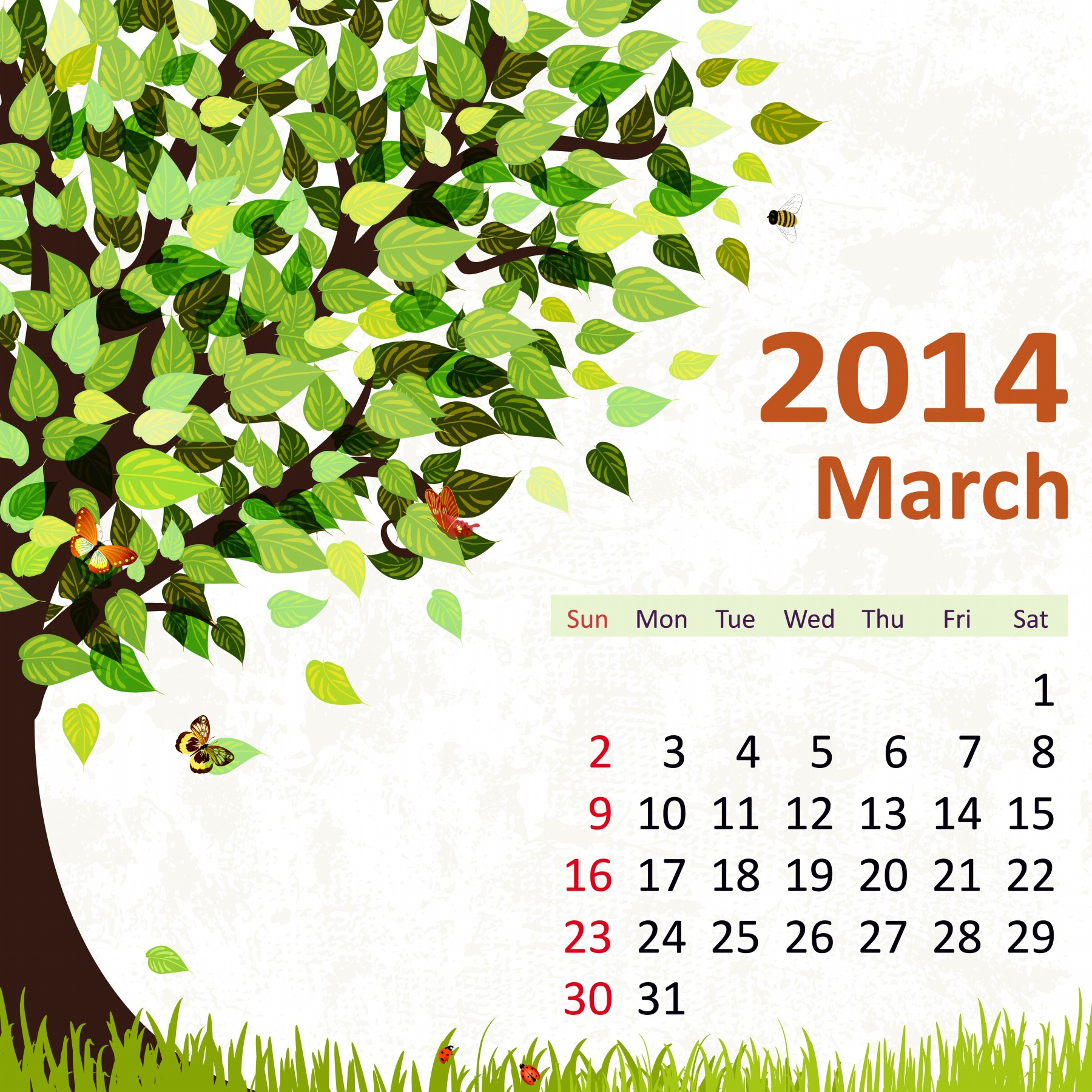 Holi-17-March-2014-calendar-Photos